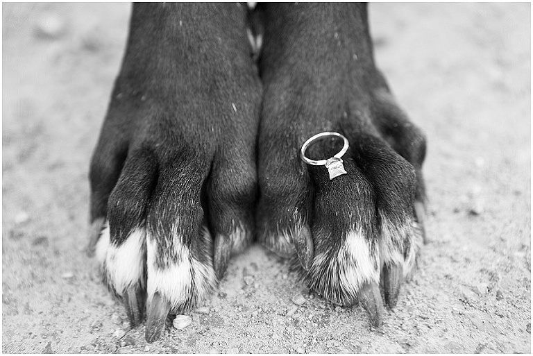 roanoke-virginia-wedding-photography_0018