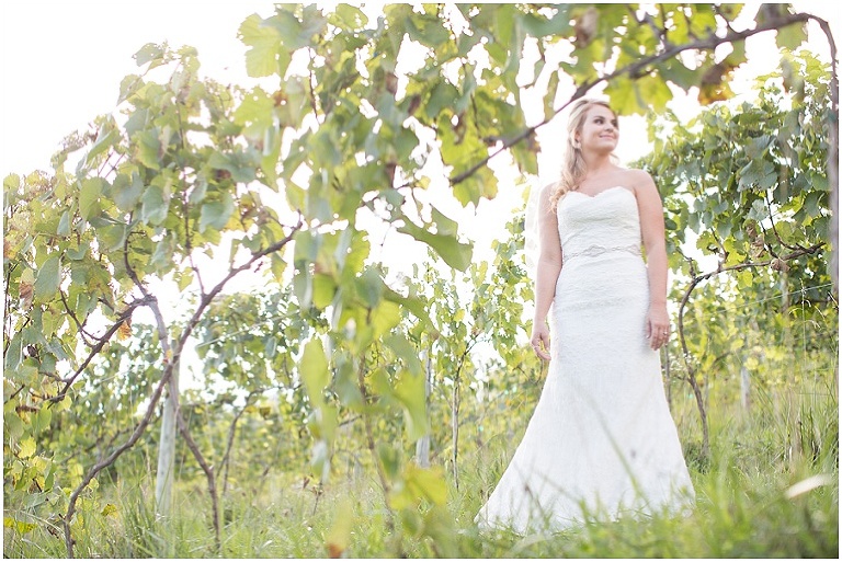 beliveau-estate-winery-wedding-photographer_0018