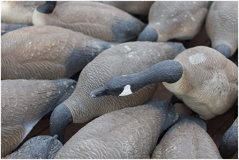thanksgiving-eastern-shore-maryland-photo_0008
