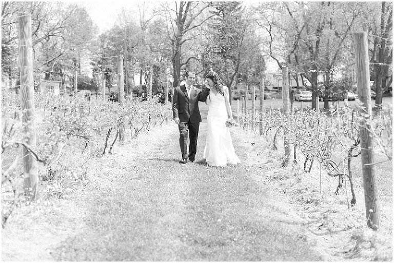 rockwood-manor-dublin-virginia-wedding-photography-photo_0051