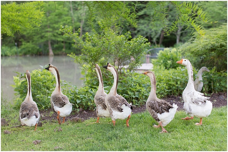 salisbury-maryland-wedding-photography-photo_0022