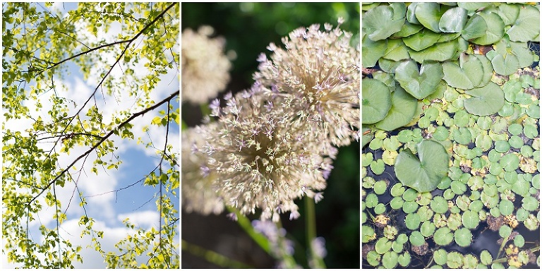 firefly-hill-vineyard-virginia-wedding-photography-photo_0042