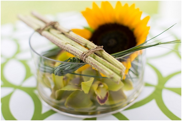 eastern-shore-maryland-documentary-event-photography-photo_0002