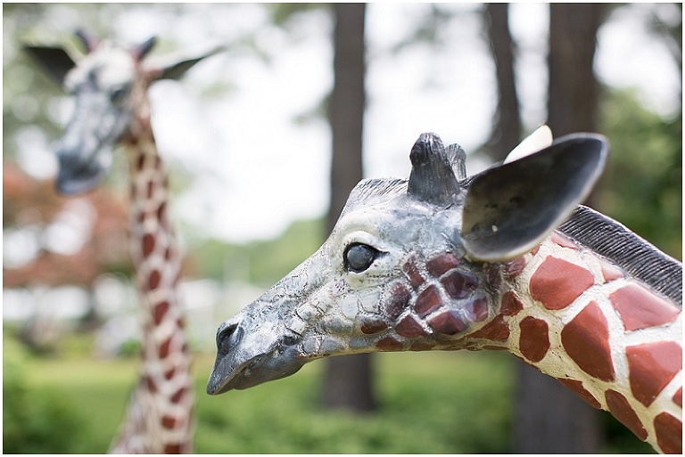 eastern-shore-maryland-documentary-event-photography-photo_0019