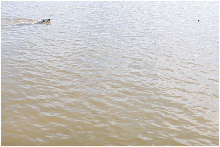 brittland-manor-chestertown-maryland-wedding-photography-photo_0002