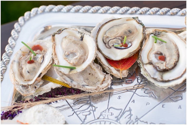 eastern-shore-maryland-nautical-wedding-photography-photo_0041