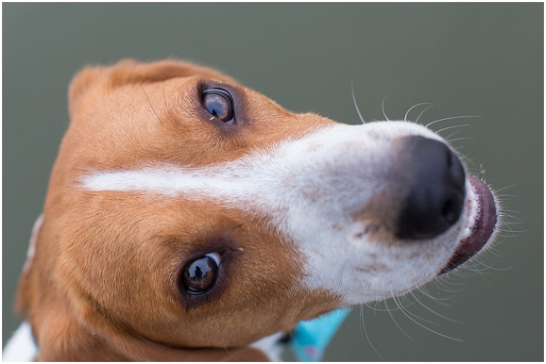 oxford-eastern-shore-maryland-engagement-photography-photo_0026