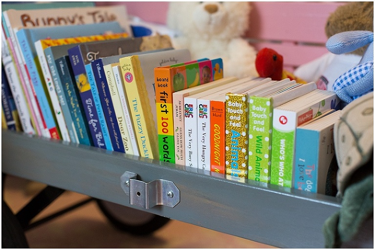 annapolis-maryland-newborn-photographer-photo_0001