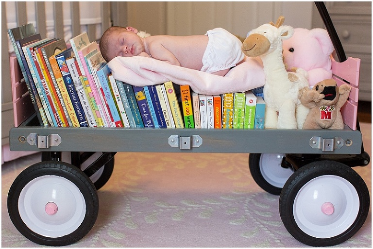 annapolis-maryland-newborn-photographer-photo_0010