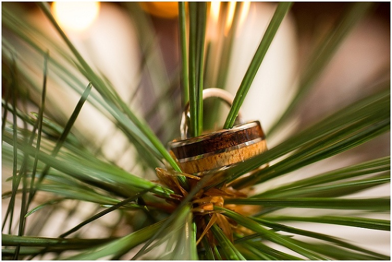 house-mountain-inn-lexington-virginia-wedding-photography-photo_0098