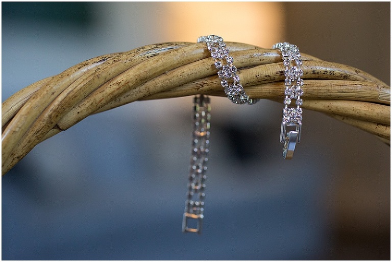 easton-maryland-tidewater-inn-gold-ballroom-wedding-photography-photo_0002