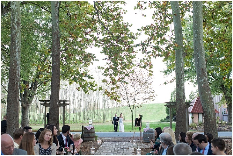 lewes-delaware-nassau-valley-vineyard-wedding-photography-photo_0064