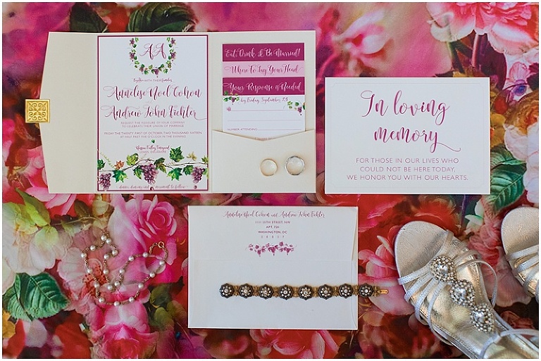 lewes-delaware-nassau-valley-vineyard-wedding-photography-photo_0133